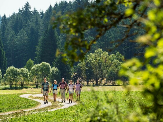 „Albtrauf“ Richtung Höhenberg