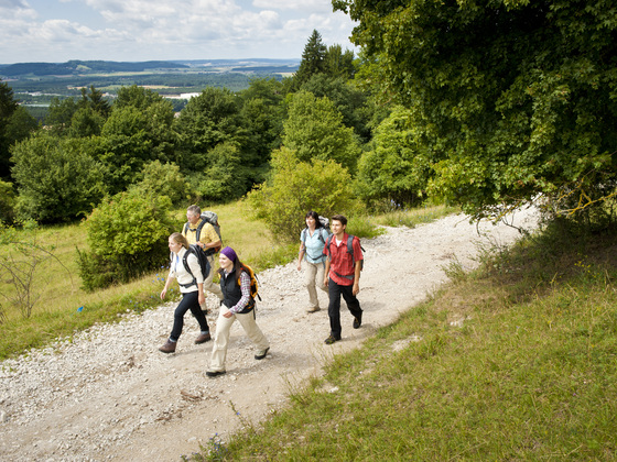 Auf der hohen Straße
