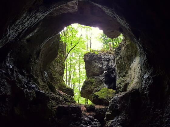Blick aus der Cäciliengrotte (Höhle Nr. 4)