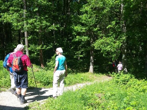 Am Kreuzberg Samstag, 27. Mai 2017 11:12:18