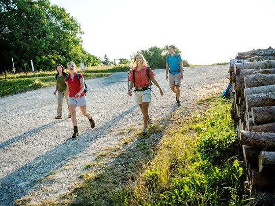 Auf dem Eppeleinsweg