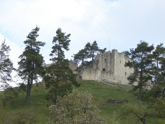 Blick auf die Ruine Lichtenegg