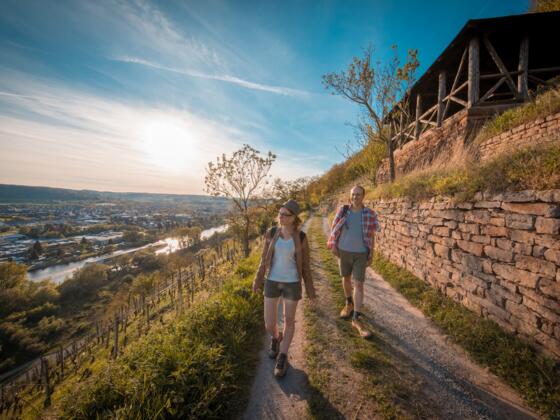 Etappe 4 von Erlenbach nach Klingenberg