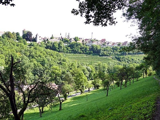 Blick über Obstbaumwiesen hinüber zur alten Reichsstadt