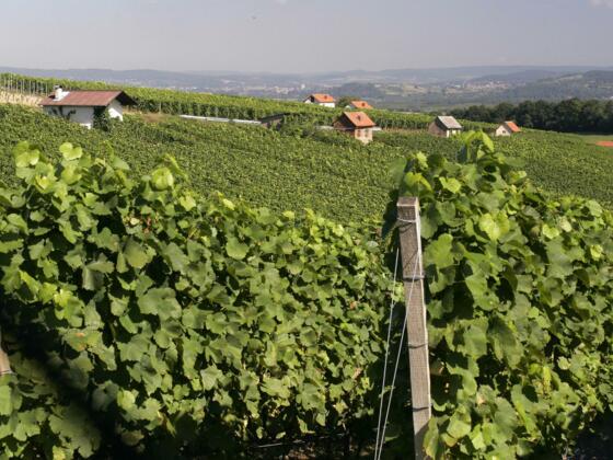 Etappe 1 von Großwallstadt nach Großostheim