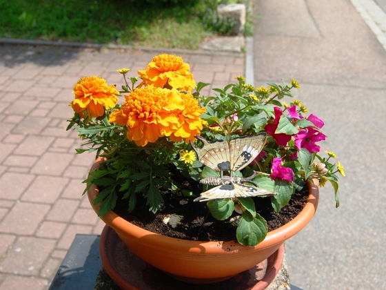 aufmunternder Etappenstart