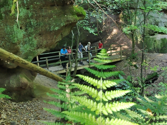 Wanderer besichtigen das grüne Schnittlinger Loch.