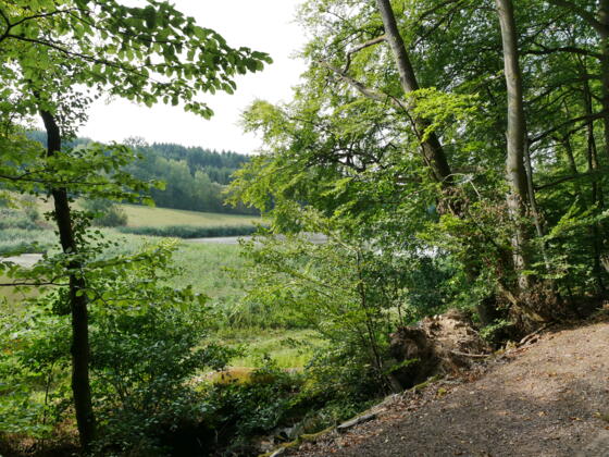 Der Weg führt vorbei an den Ebracher Fischteichen