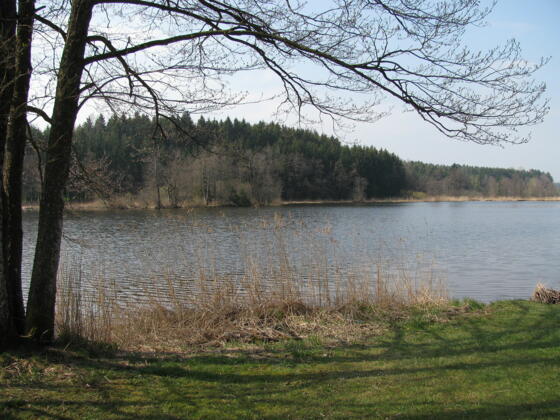 Schleifenroute - Vogt: Holzmühlweiher