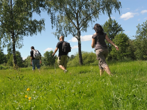 Wanderer in Feuchtwangen
