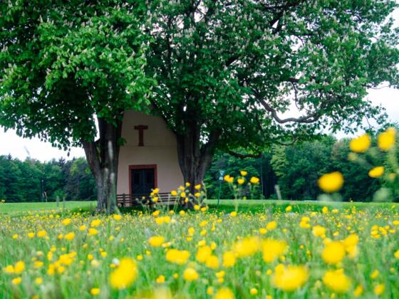Kapelle Herrenbild Mespelbrunn