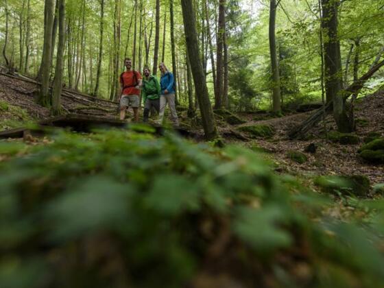auf dem "Alten Schulweg"