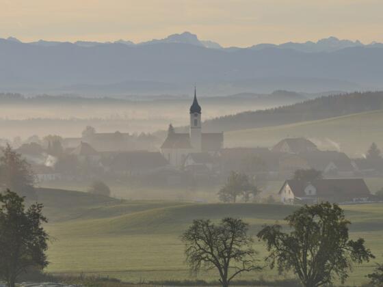 Das Allgäu am Morgen