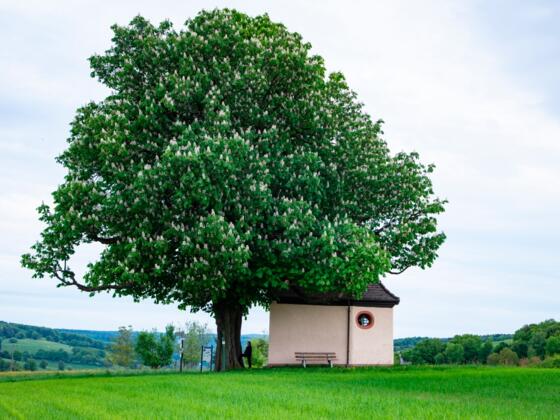 Kapelle Herrenbild Mespelbrunn