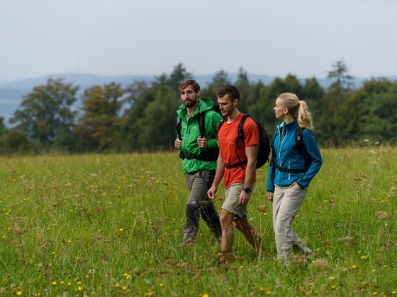 Wandern über Wiesen und durch märchenhafte Wälder im Spessart