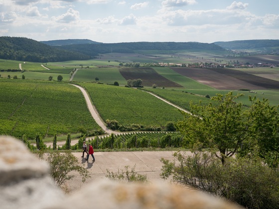 Der Frankenblick - einfach schön!