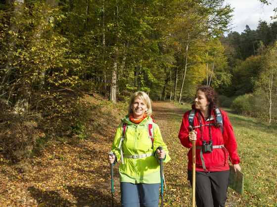 am Waldsee in Heimbuchenthal