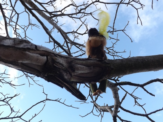 Räuberhannes begrüßt die Wanderer