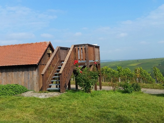 Bester Aussichtspunkt auf die Weininsel bei Neuses a. Berg