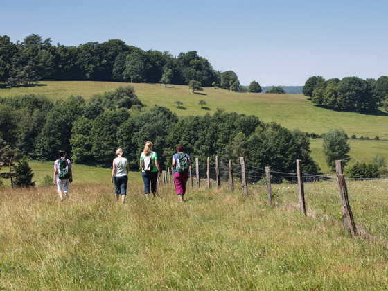 Landschaft Rothenbuch