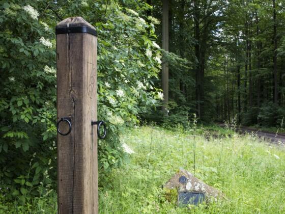 Sagenumwogen Echertspfahl