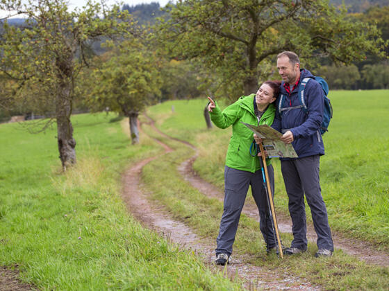 Wiesen am Heimathenhof - herrliche Fernsicht