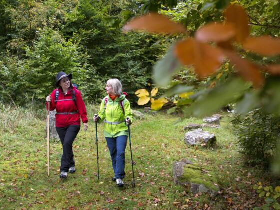Wandern auf dem "Alten Schulweg"
