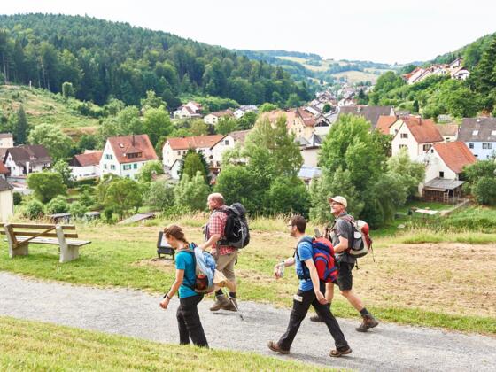 Ausblick von der Gruftkapelle St. Maria Schnee Mespelbrunn
