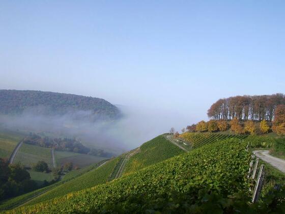 Die "Schönste Weinsicht" von Franken