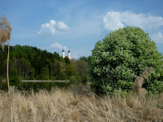 Weiher bei Roggenburg