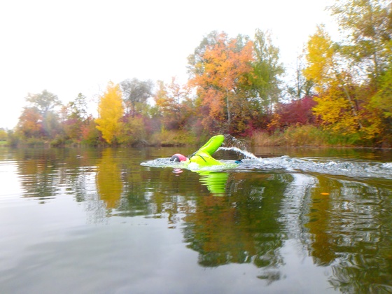 Schwimmen im Schützensee