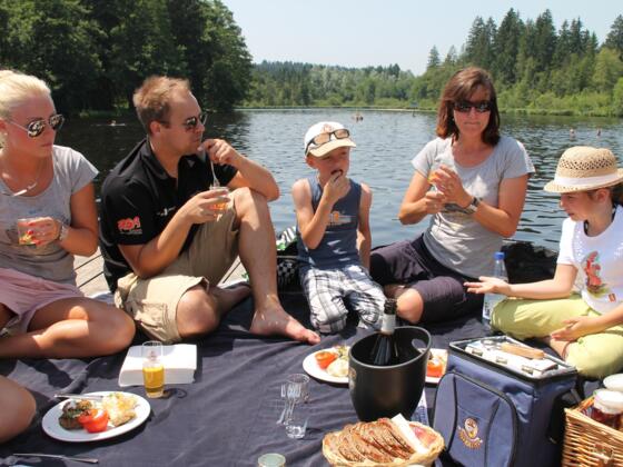Seepicknick auf der Badeinsel im Waldsee