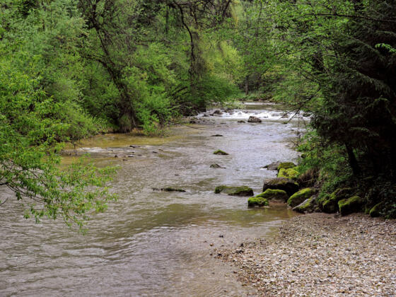 Rastplatz an der Leiblach