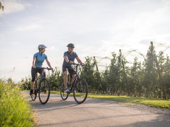 Radfahren, sonnig, Apfelplantage