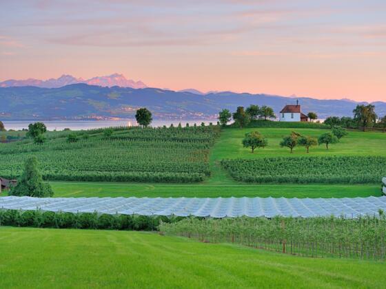 Blick zur Antoniuskapelle