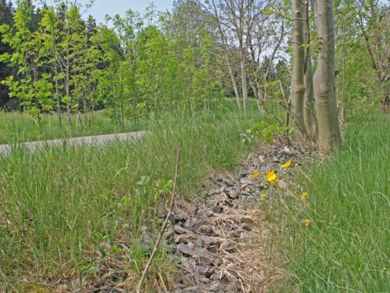 Radeln entlang der ehemaligen Bahntrasse