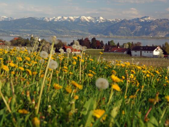 Nonnenhorn-Panorama im Frühling