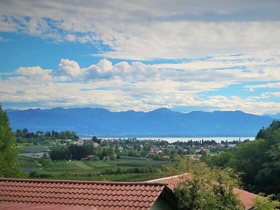 Blick vom Taubenberg zum Bodensee