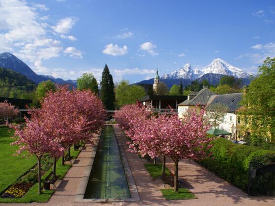 Kurgarten Kirschblüte