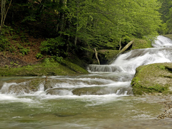 Wasserfälle im Eistobel