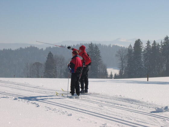 Langlauf in Isny Maierhöfen. Blick ins Voralpenland
