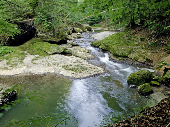 Rauschende Bäche im NSG Eistobel