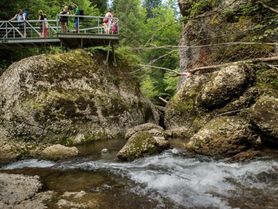 Aussichtsplattform am "Zwinger" im Eistobel