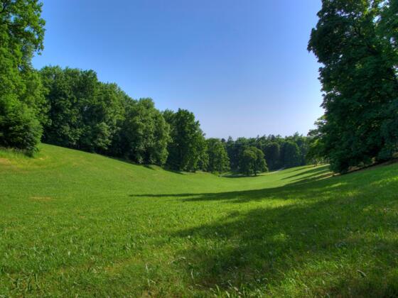 Veilchental im Hofgarten - Coburg