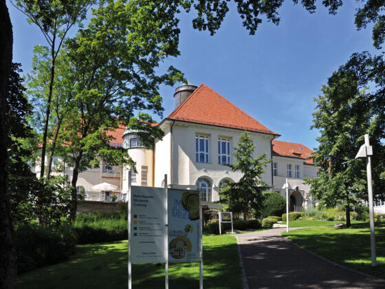 Naturkundemuseum Coburg