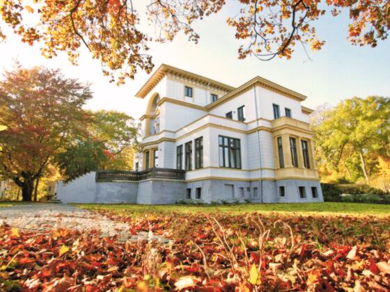 Münch-Ferber-Villa Hof