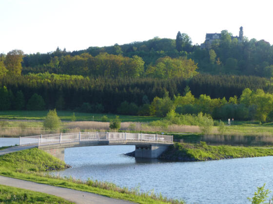 Goldbergsee Coburg mit Blick auf Schloss Callenberg