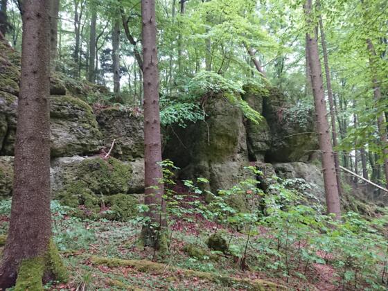 Vogelschutzgebiet Saalburg