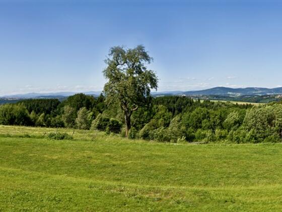Panoramablick Freinberg