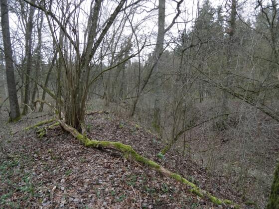 Die Gräben sind noch sichtbar